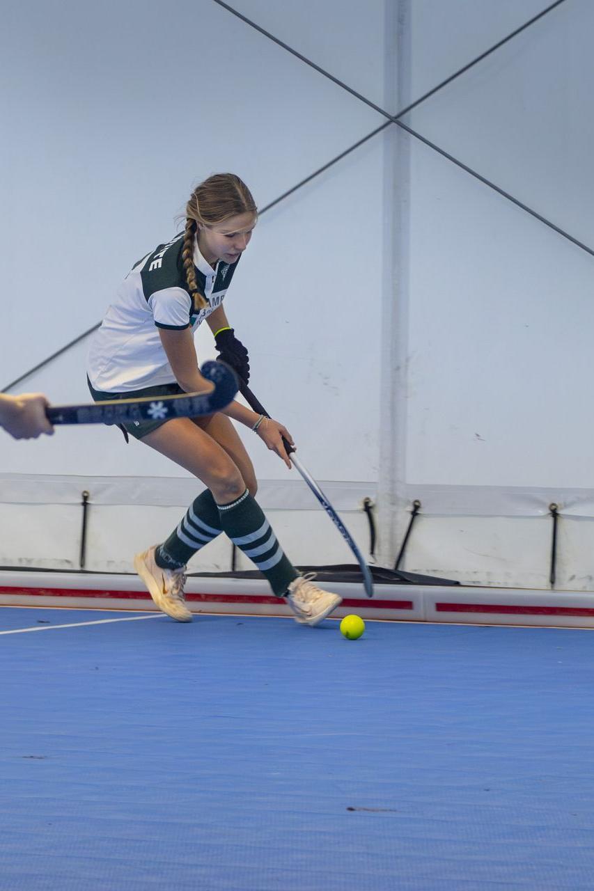 Hockey image 4
